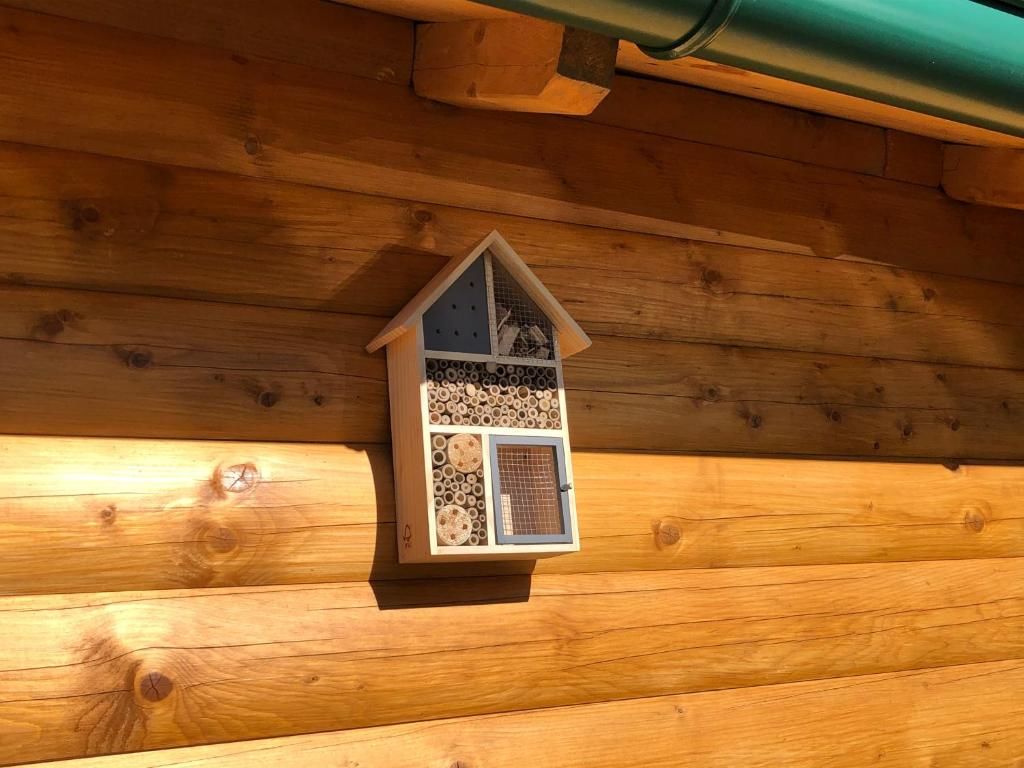 Дома для отпуска Ethno House Bektesevic Gusinje